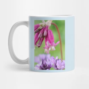 Dichelostemma ida-maia  Crimson Californian hyacinth and Dichelostemma congestum  Ookow Mug